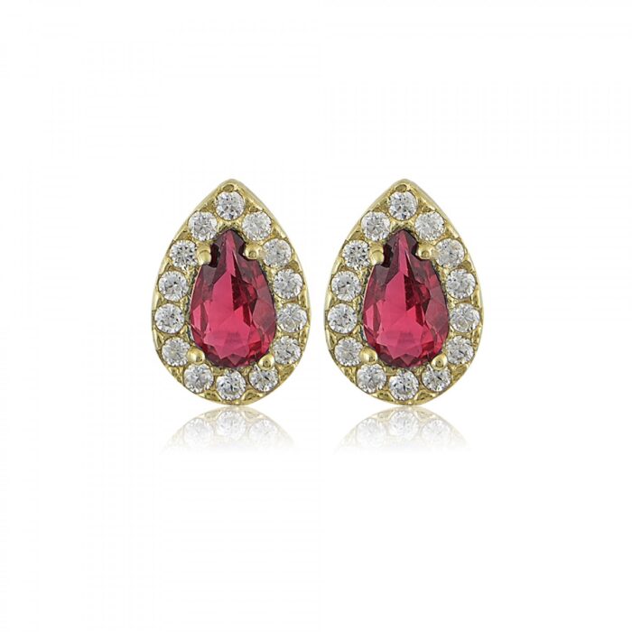 Ασημένια Επιχρυσωμένα Σκουλαρίκια 925