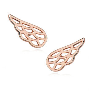 Feathers - Ασημένια Σκουλαρίκια (925) - Image 1