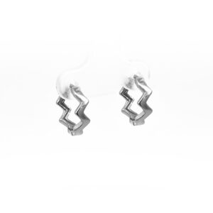 Ασημένια Σκουλαρίκια 925 - Image 1